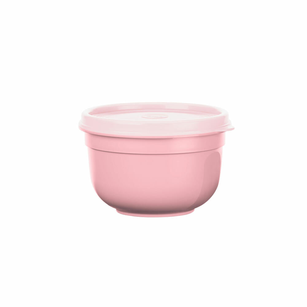 EMSA Superline storage container set, 3-piece, storage container, food storage container, plastic, N10822