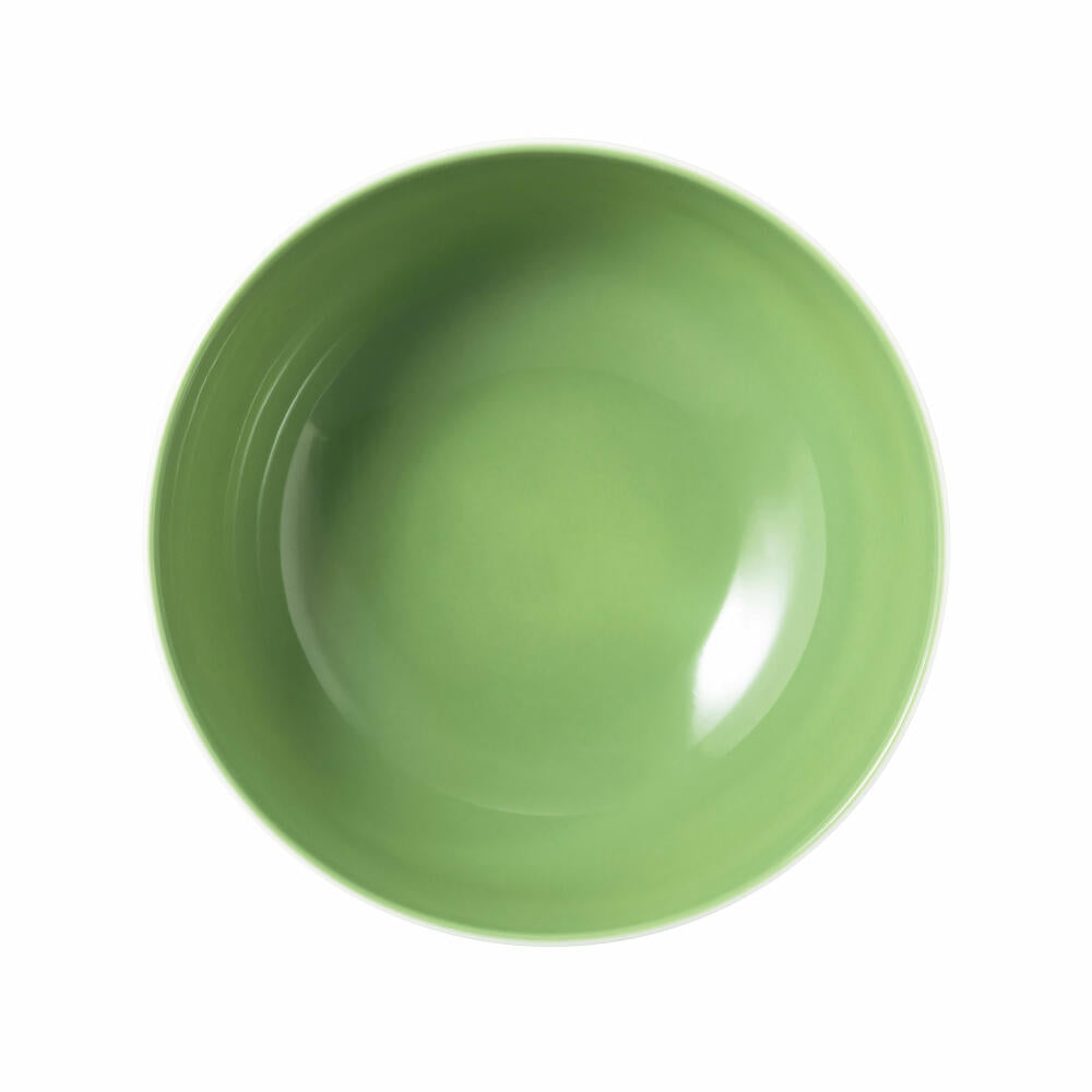 Seltmann Weiden Liberty Foodbowl, Schale, Schüssel, Porzellan, Meadow Grasses Green, Ø 17.7 cm, 001.768792