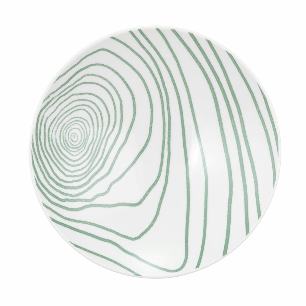 Seltmann Weiden Pasta-/Suppenteller Life Nature Jahresringe, Porzellan, Grün, 23 cm, 001.772831