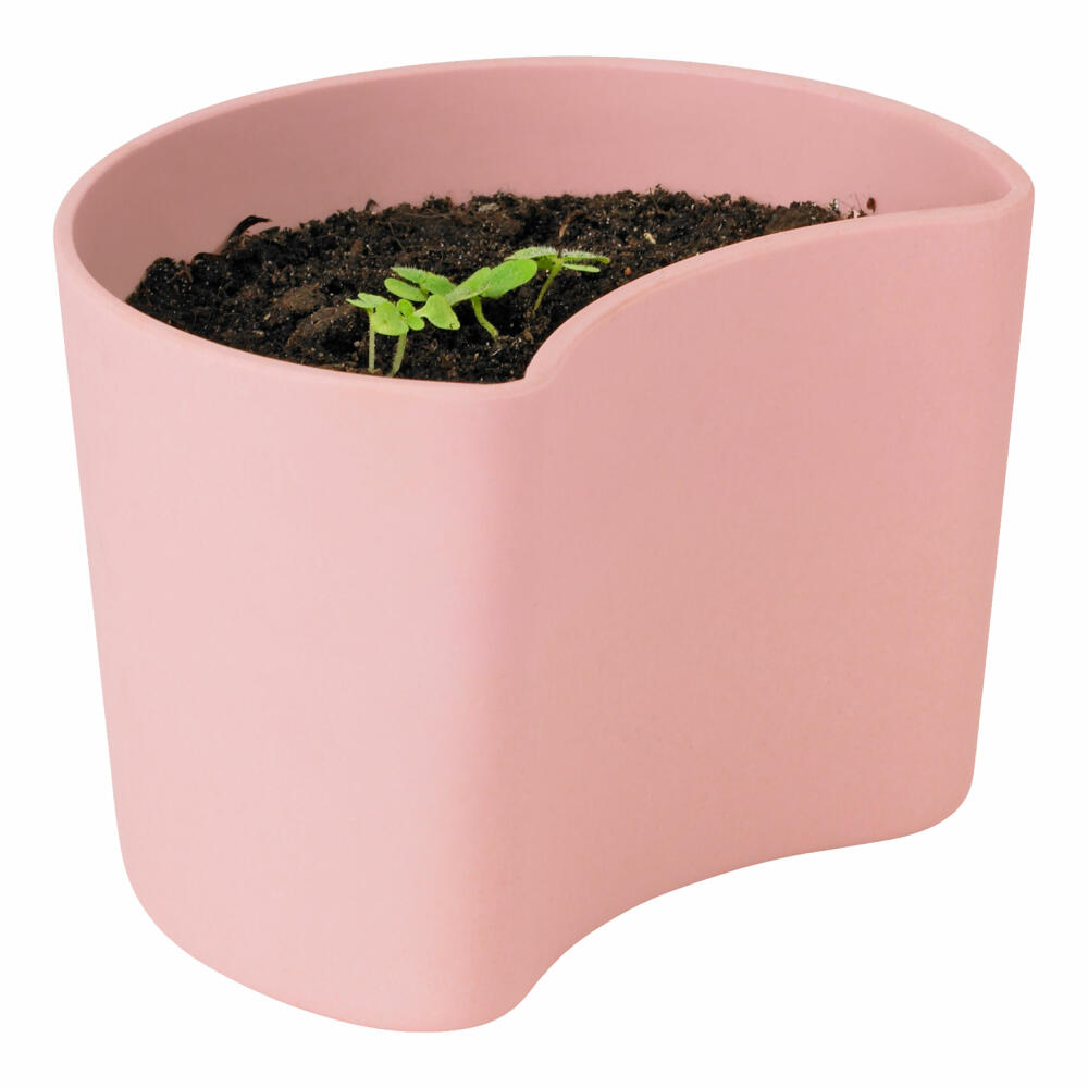 Rig-Tig YOUR TREE Blumentopf mit Samen Pink, Baum Pflanzset, Aufzuchtset, abbaubarer Materialmix, Pink, 7 cm, Z00136-2