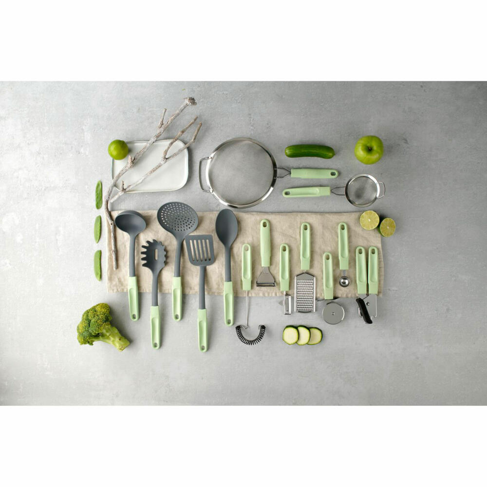 Fackelmann Schneebesen Ecolution, Rührbesen, Milchschäumer, Materialmix, Mintgrün, 27 cm, 33069