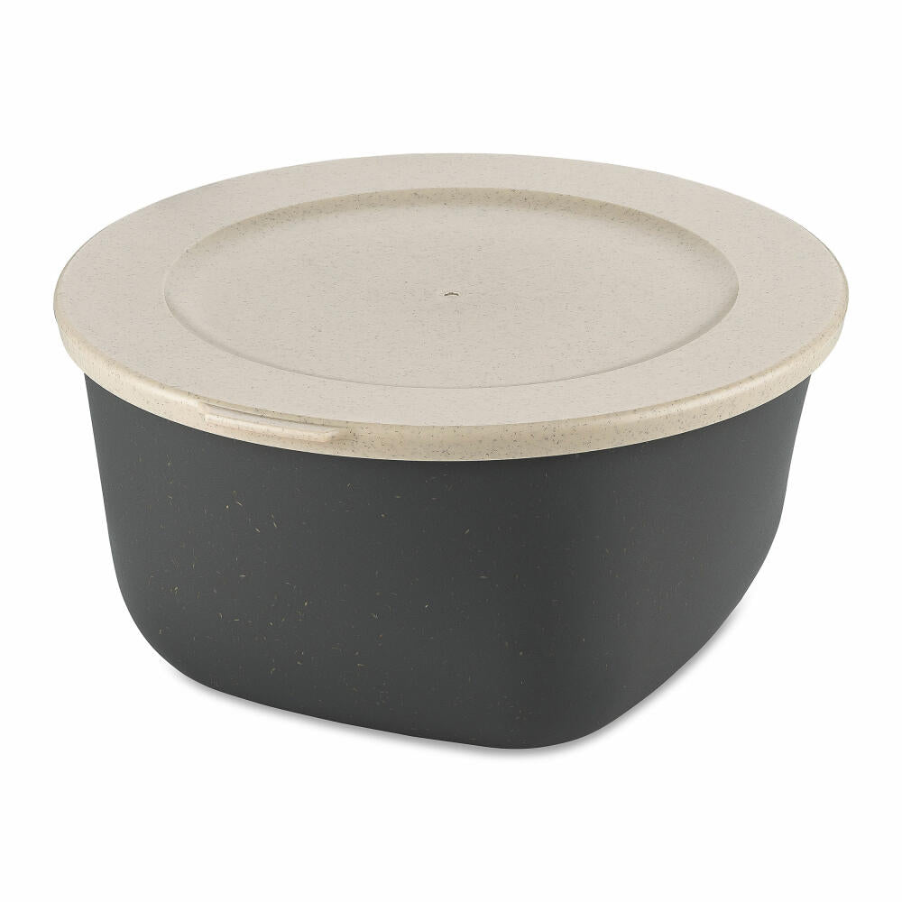 Koziol Dose Connect Box mit Deckel, Schüssel, Schale, Kunststoff-Holz-Mix, Nature Ash Grey, 2 L, 7871701