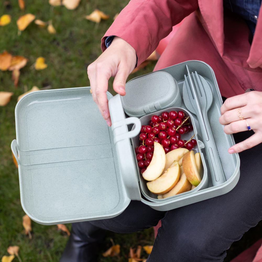 Koziol Lunchbox-Set + Besteck-Set Pascal Ready, Brotdose, Brotbox, Speisegefäß, Thermoplastischer Kunststoff, Organic Green, 3168668