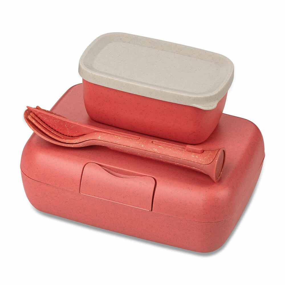 Koziol Lunchbox-Set + Besteck-Set Candy Ready, Kunststoff-Holz-Mix, Nature Coral, 7272704