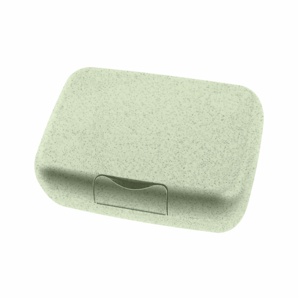 Koziol Box Candy L, Brotdose, Lunchbox, Speisegefäß, Thermoplastischer Kunststoff, Organic Green, 3169668