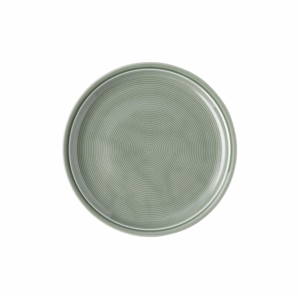 Thomas Trend Colour breakfast plate, flat plate, porcelain, Moss Green, 22 cm, 11400-401922-10222