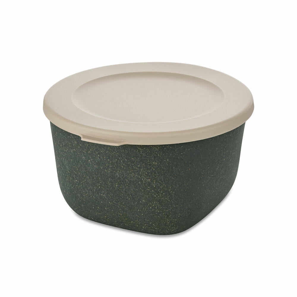 Koziol Dose Connect Box mit Deckel, Schüssel, Schale, Kunststoff-Holz-Mix, Nature Ash Grey, 1 L, 7870701