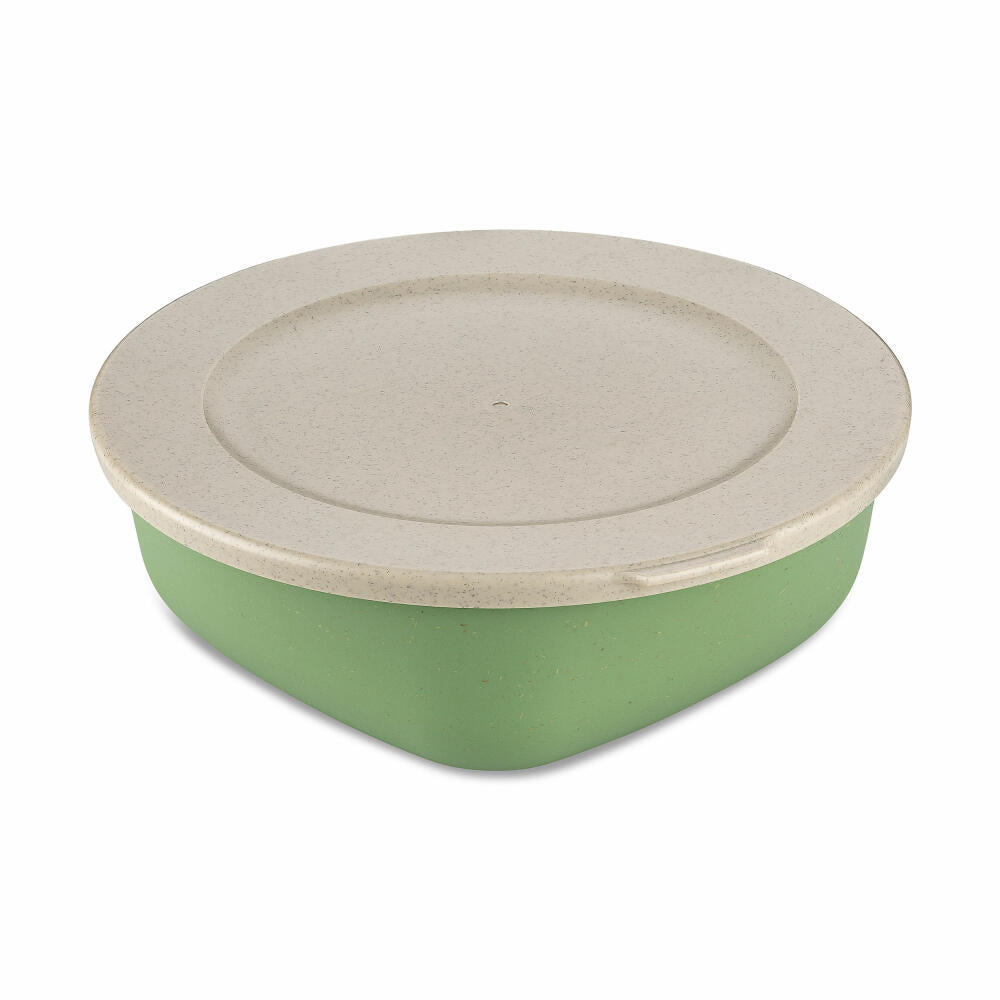 Koziol Box mit Deckel Connect Box, Lunchdose, Kunststoff-Holz-Mix, Nature Leaf Green, 1.3 L, 7275703