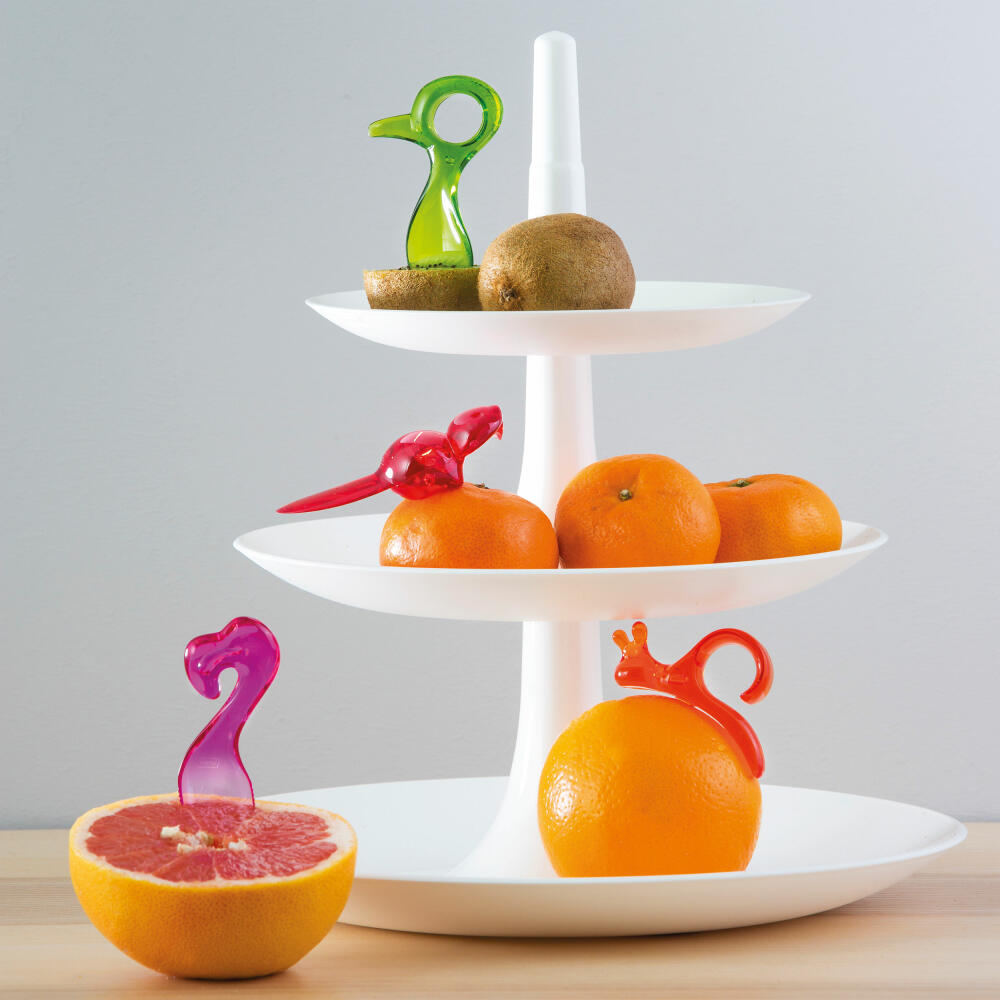 Koziol Fruit Helper Gift Set Energy-Tool 3-piece, Plastic, Colorful, 3734480