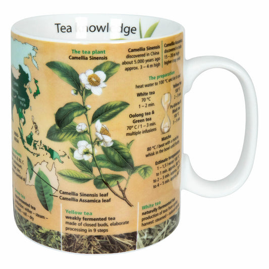 Könitz Becher Knowledge Mug Tea, Tasse, Kaffeebecher, Porzellan, Bunt, Englisch, 490 ml, 11 1 330 2654